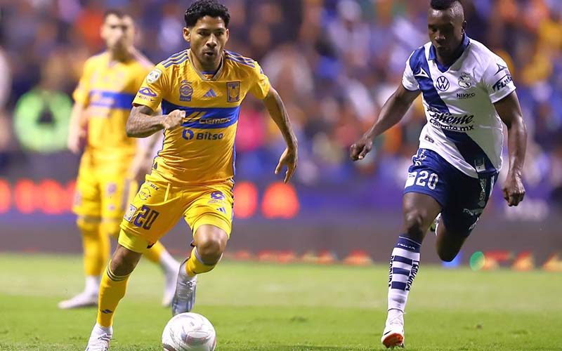 Nhận định, Soi kèo Puebla FC vs Tigres UANL, 10h05 ngày 5/4 - Ảnh 4