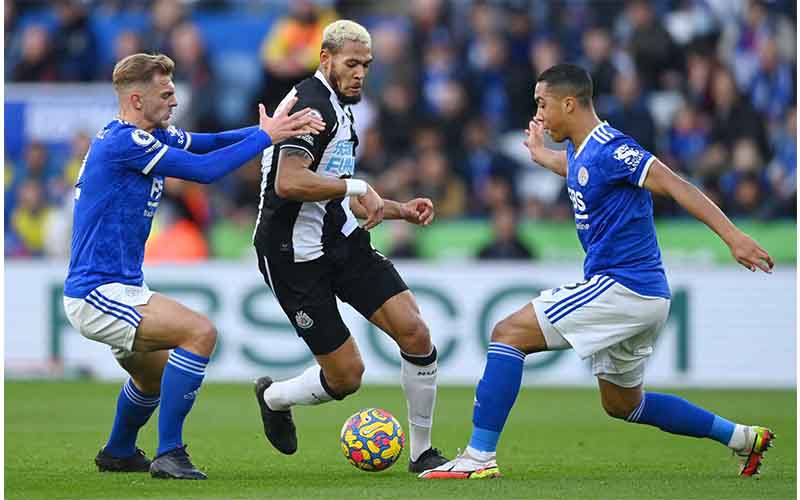 Nhận định, Soi kèo Leicester City vs Newcastle 2h00 ngày 8/4: Phá tan hang Cáo - Ảnh 1
