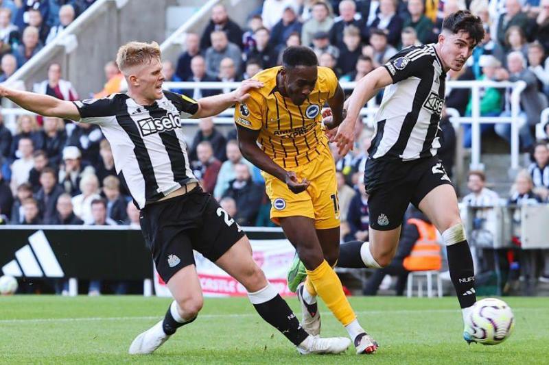 Nhận định, Soi kèo Brighton vs Newcastle 21h00 ngày 18/10: Điểm tựa sân nhà - Ảnh 1