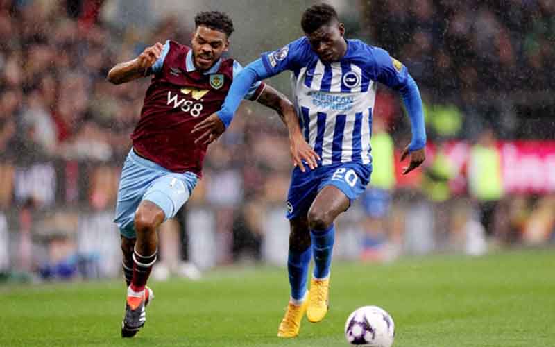 Nhận định, Soi kèo Brighton vs Burnley 22h00 ngày 3/1: Niềm vui cho Mòng Biển - Ảnh 1