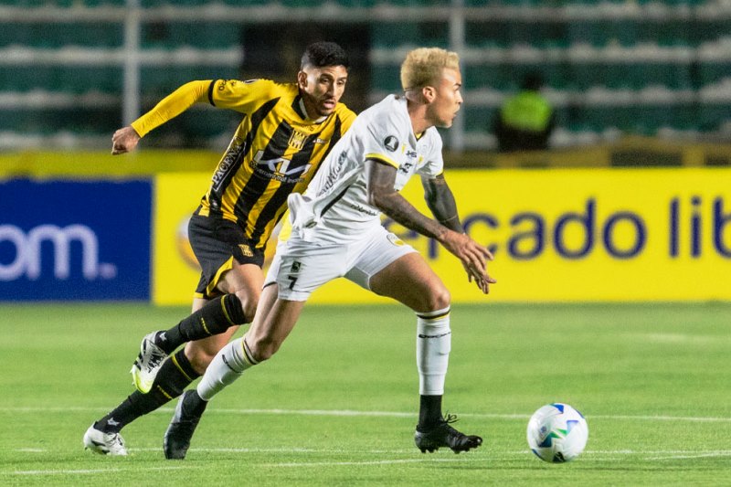 Nhận định, Soi kèo Deportivo Tachira vs The Strongest 07h30 ngày 11/02: Khách không thua - Ảnh 1