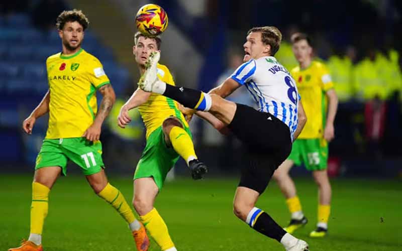 Nhận định, Soi kèo Norwich City vs Sheffield Wednesday 2h45 ngày 26/2: Tận cùng nỗi đau - Ảnh 1