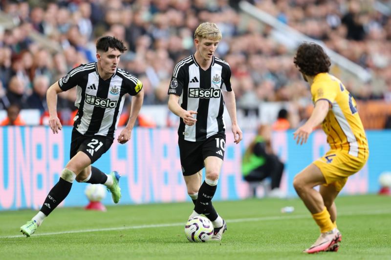Nhận định, Soi kèo Newcastle vs Brighton 21h00 ngày 02/05: Đánh chiếm St Jame's Park - Ảnh 1