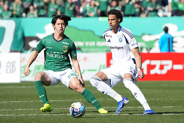 Nhận định, Soi kèo Machida Zelvia vs Tokyo Verdy 17h00 ngày 13/5: Chủ nhà thăng hoa - Ảnh 4