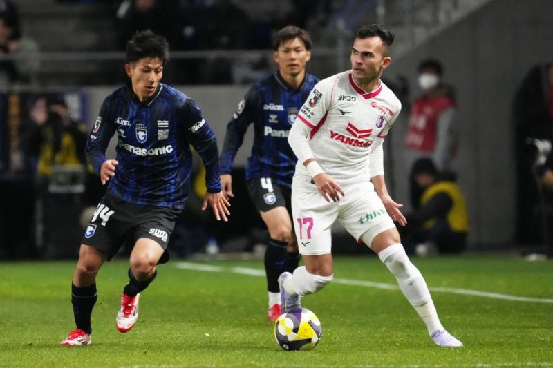 Nhận định, Soi kèo Fagiano Okayama vs Cerezo Osaka 10h55 ngày 24/05: Tin vào chủ nhà - Ảnh 1