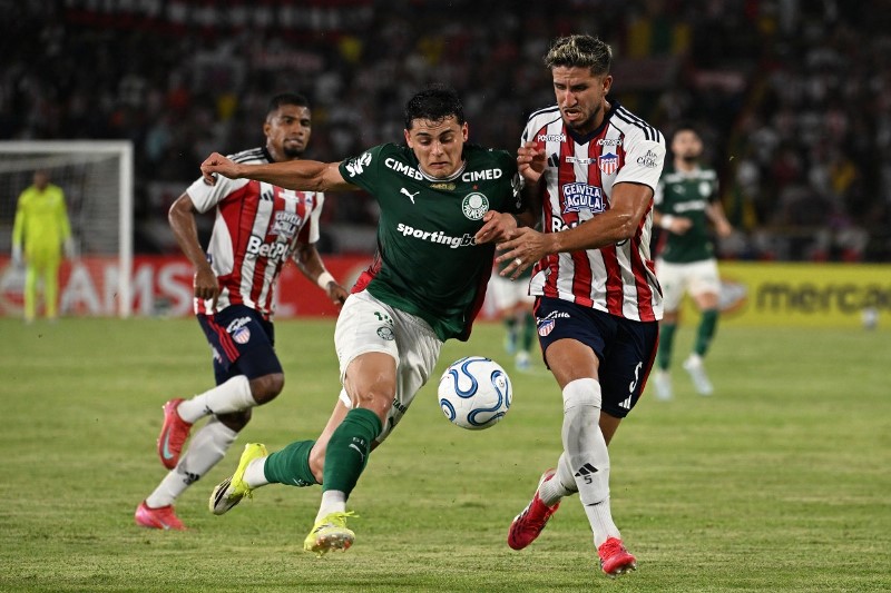 Nhận định, Soi kèo Palmeiras vs Junior FC 05h00 ngày 29/05: Chênh lệch đẳng cấp - Ảnh 1