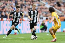 Nhận định, Soi kèo Newcastle vs Brighton 21h00 ngày 02/05: Đánh chiếm St Jame's Park