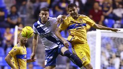 Nhận định, Soi kèo Tigres UANL vs Puebla 10h ngày 9/8: Khác biệt mong manh